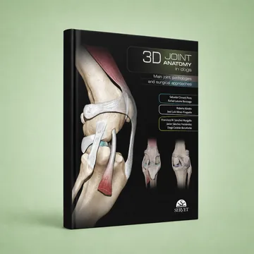Cover of 3D Joint Anatomy in Dogs
