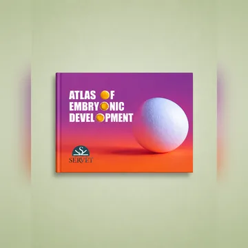 Cover of Atlas of Embryonic Development
