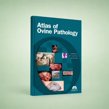 Cover of Atlas of Ovine Pathology