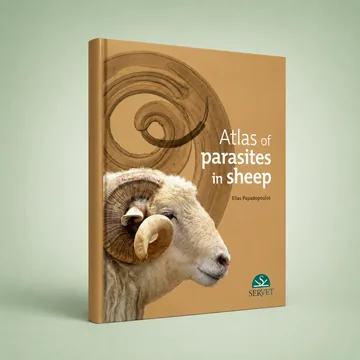 Cover of Atlas of Parasites in Sheep