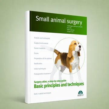 Cover of Basic Principles and Techniques