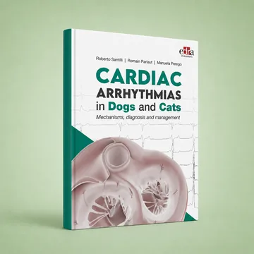 Cover of Cardiac arrhythmias in Dogs and Cats