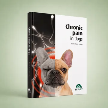 Cover of Chronic Pain in Dogs - eBook