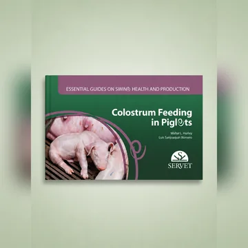 Cover of Colostrum Feeding in Piglets