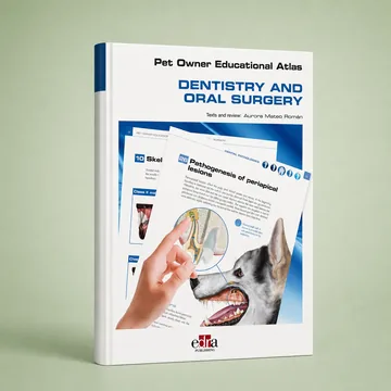 Cover of Dentistry and Oral Surgery