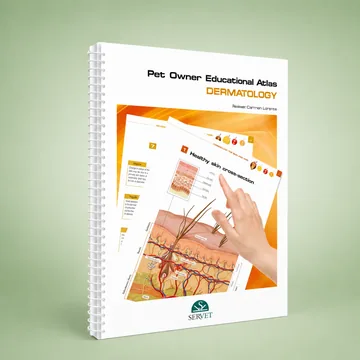 Cover of Dermatology
