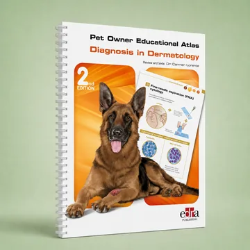 Cover of Diagnosis in Dermatology, 2nd ed.