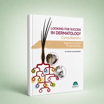 Cover of Looking for Success in Dermatology Consultations