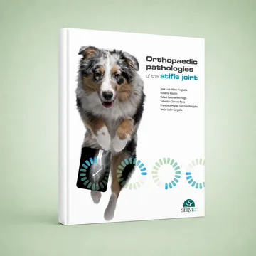 Cover of Orthopaedic Pathologies of the Stifle Joint