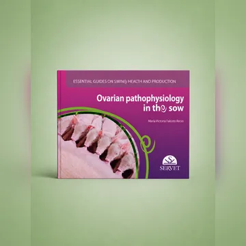 Cover of Ovarian Pathophysiology in the Sow