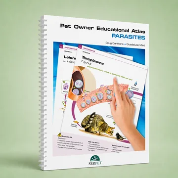 Cover of Parasites