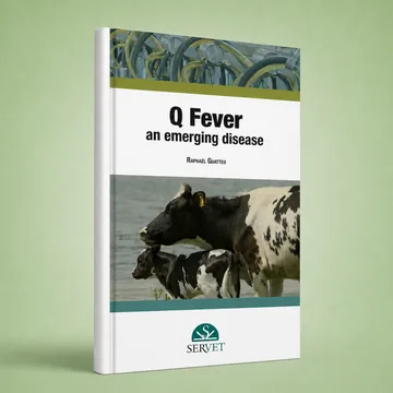 Cover of Q Fever