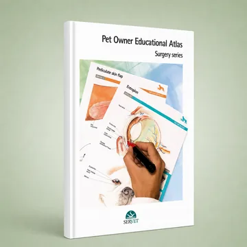 Cover of Surgery