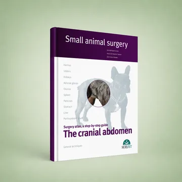 Cover of The Cranial Abdomen
