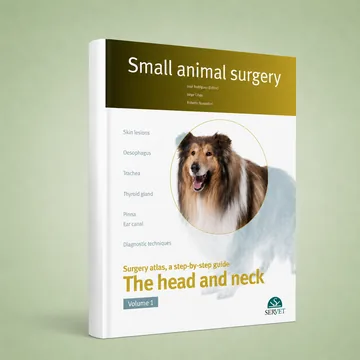 Cover of The Head and Neck. Vol. I