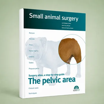 Cover of The Pelvic Area