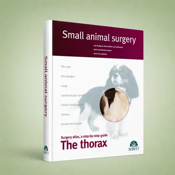 Cover of The Thorax