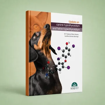 Cover of Update about Canine Hypothyroidism and Feline Hyperthyroidism